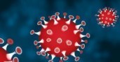 Coronavirus_vademecum_Dubini_hp